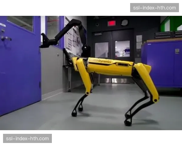 拳王阿贾巴在比赛中段向场边观众展示其标志性“机器人”庆祝动作